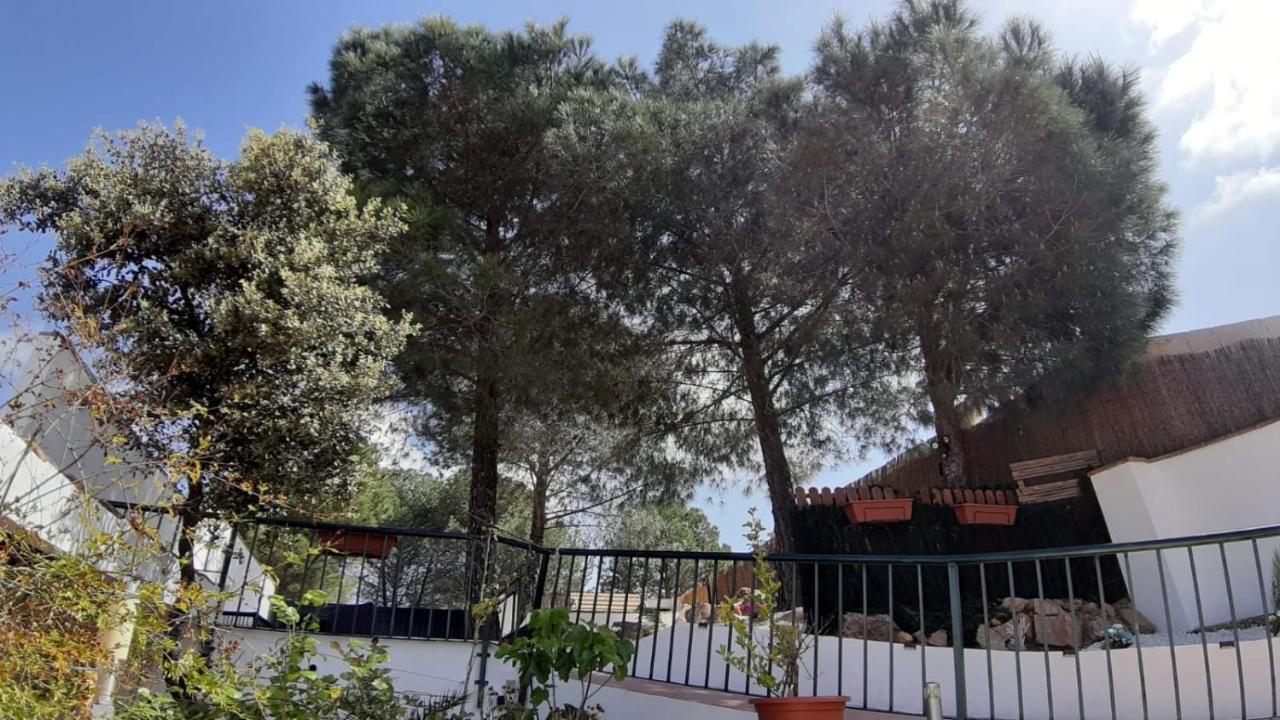 El Pinar Del Coto Villa Cordoba Ngoại thất bức ảnh